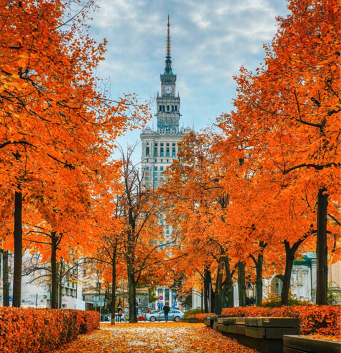 Warsaw Connect - SIETAR Polska Spotkanie w Warszawie